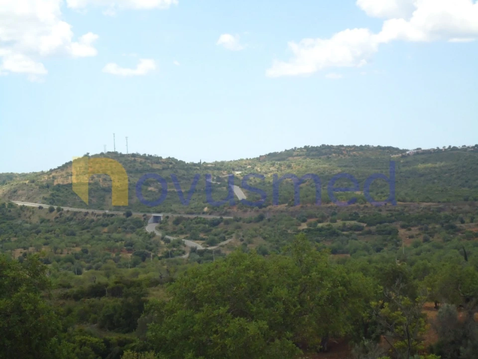 Terreno Agricola ou Rústico para Venda em Paderne Foto 9