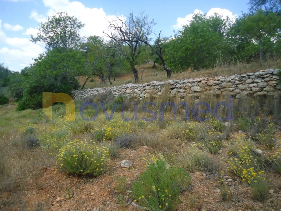 Terreno Agricola ou Rústico para Venda em Paderne Foto 12