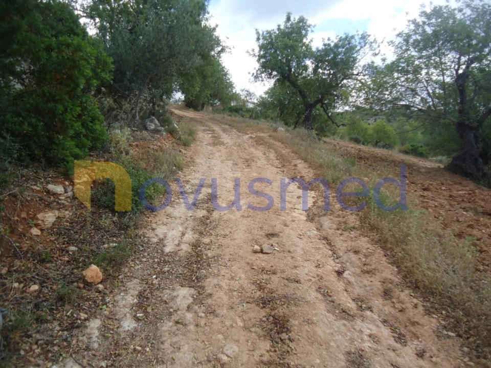 Terreno Agricola ou Rústico para Venda em Paderne Foto 14