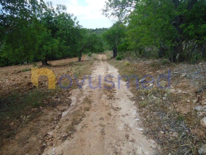 Terreno Agricola ou Rústico para Venda em Paderne Foto 15
