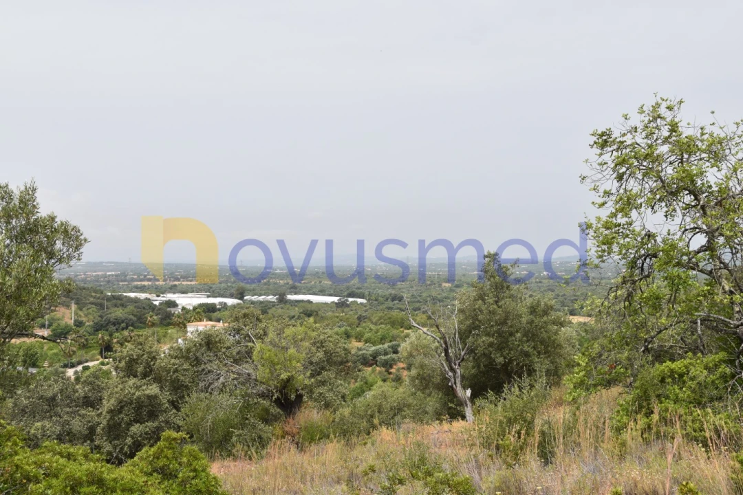 Terreno Agricola ou Rústico para Venda em Paderne Foto 13