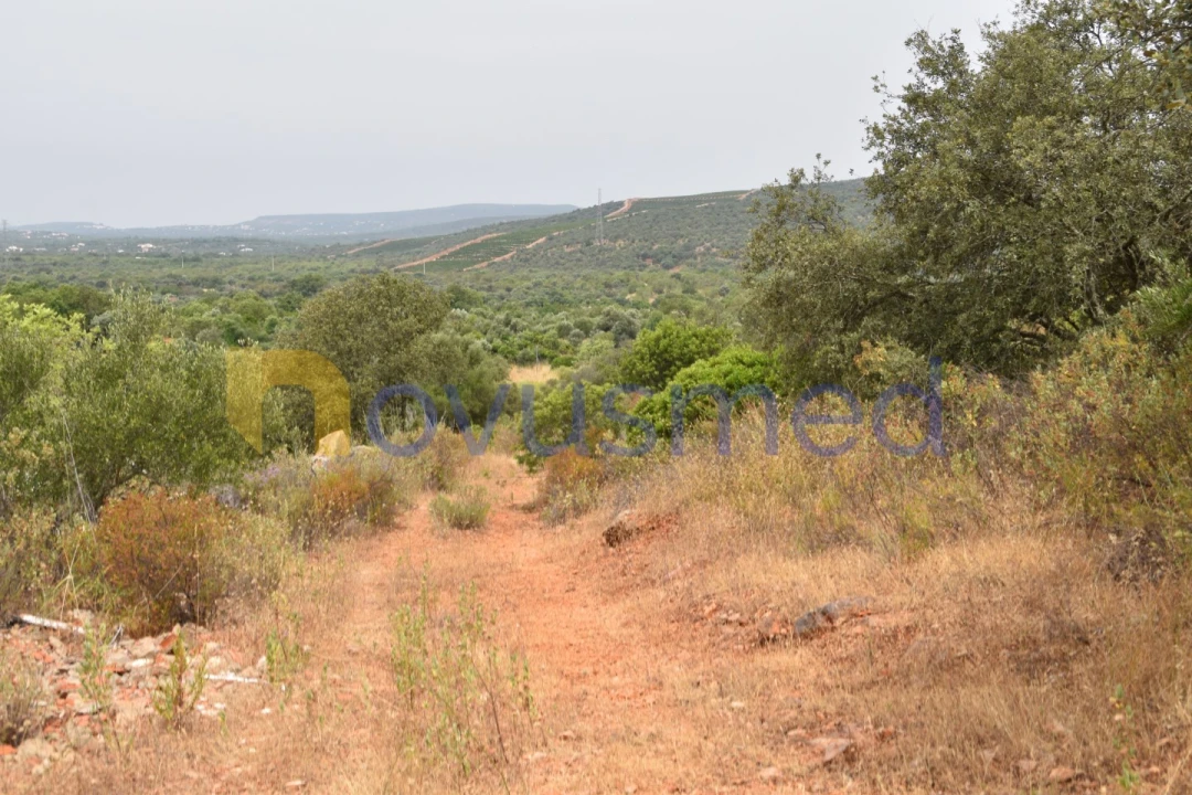 Terreno Agricola ou Rústico para Venda em Paderne Foto 19