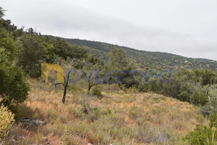 Terreno Agricola ou Rústico para Venda em Paderne Foto 3