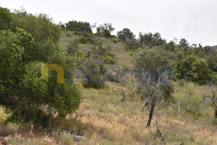 Terreno Agricola ou Rústico para Venda em Paderne Foto 8