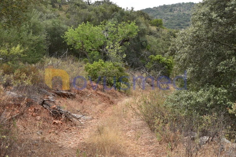 Terreno Agricola ou Rústico para Venda em Paderne Foto 17