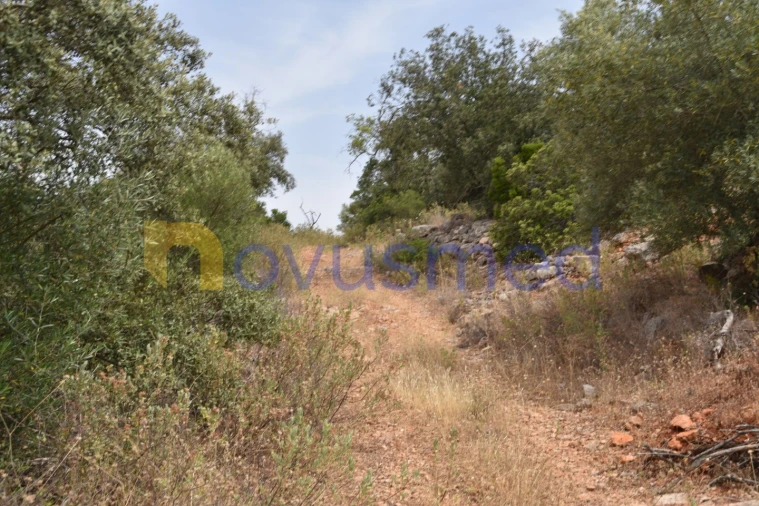 Terreno Agricola ou Rústico para Venda em Paderne Foto 18