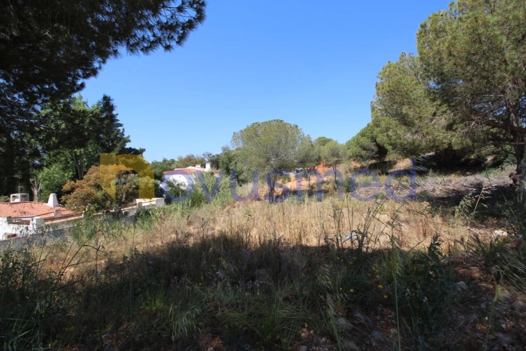 Terreno para Venda em Albufeira e Olhos de Água Foto 6