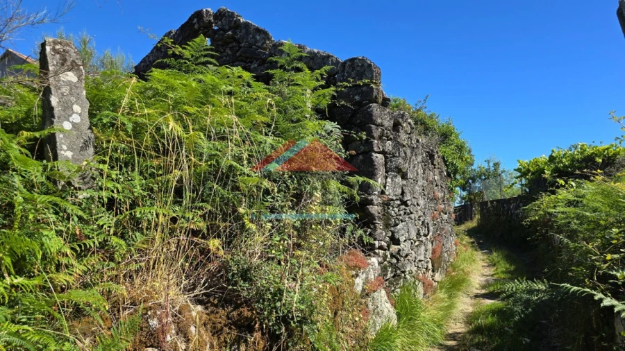 Terreno para Venda em Tangil Foto 12
