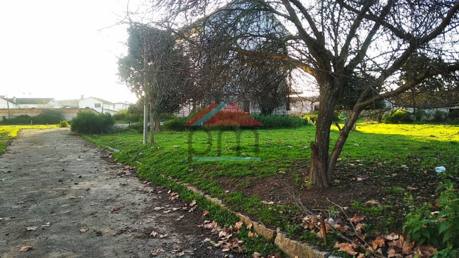 Terreno para Venda em Mazedo e Cortes Foto 3