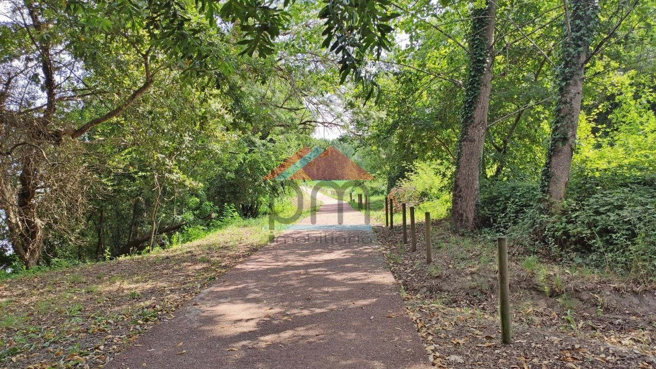Terreno para Venda em São Pedro da Torre Foto 10