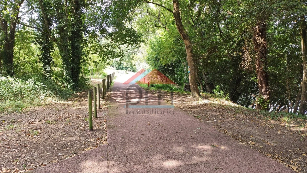 Terreno para Venda em São Pedro da Torre Foto 11