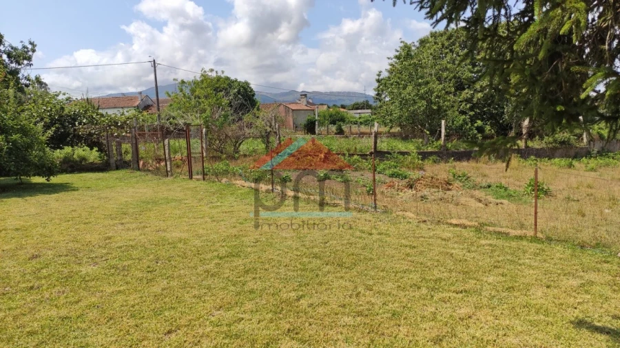 Terreno para Venda em São Pedro da Torre Foto 5