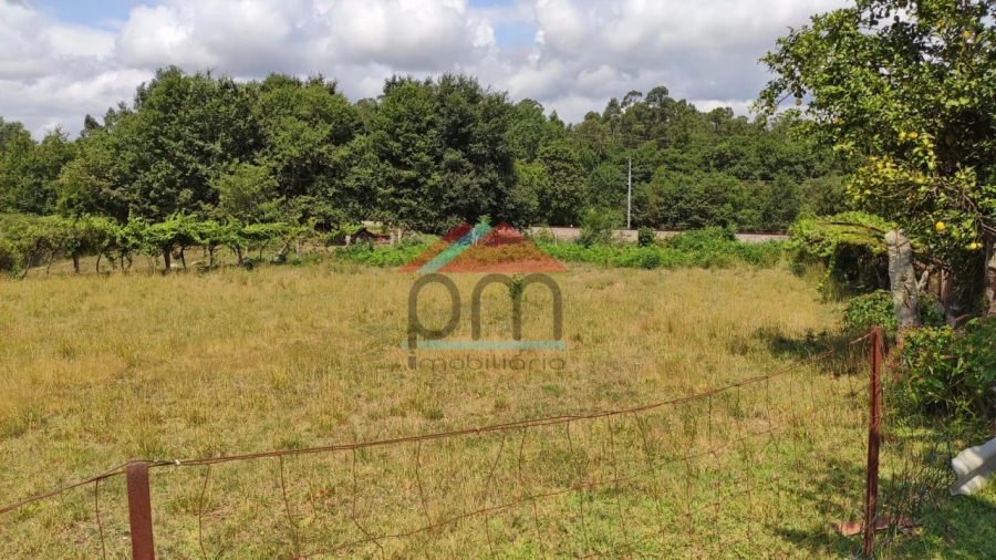 Terreno para Venda em São Pedro da Torre Foto 6