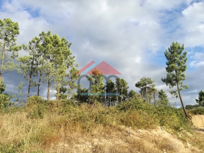 Terreno para Venda em Monção e Troviscoso Foto 1