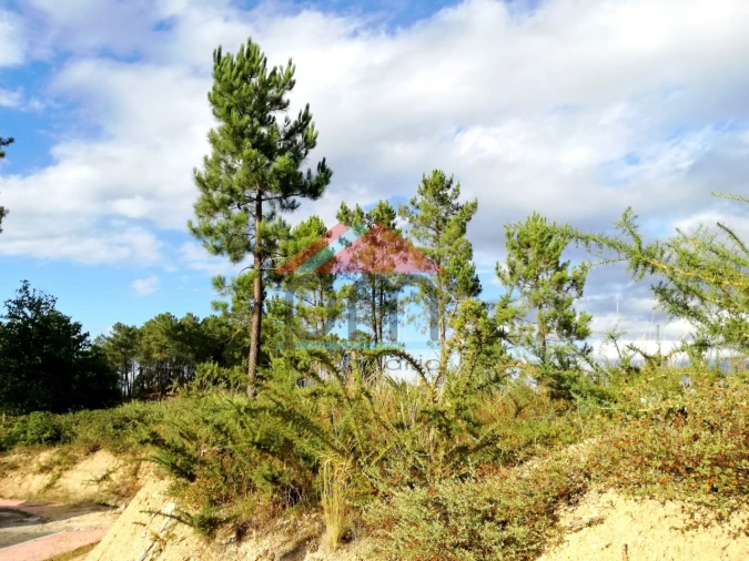 Terreno para Venda em Monção e Troviscoso Foto 4