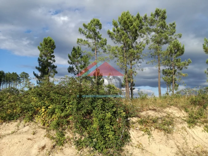 Terreno para Venda em Monção e Troviscoso Foto 6
