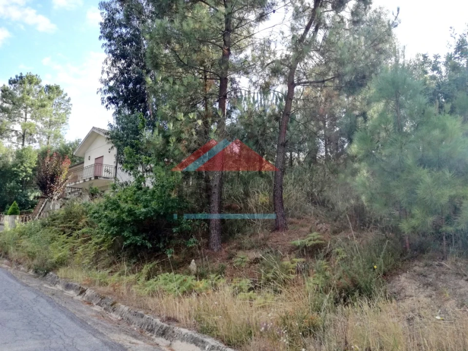 Terreno para Venda em Longos Vales Foto 3