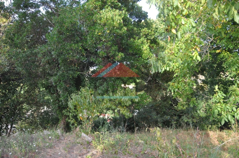 Terreno para Venda em Verdoejo Foto 13