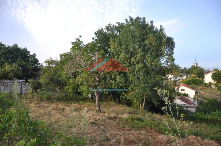 Terreno para Venda em Verdoejo Foto 15