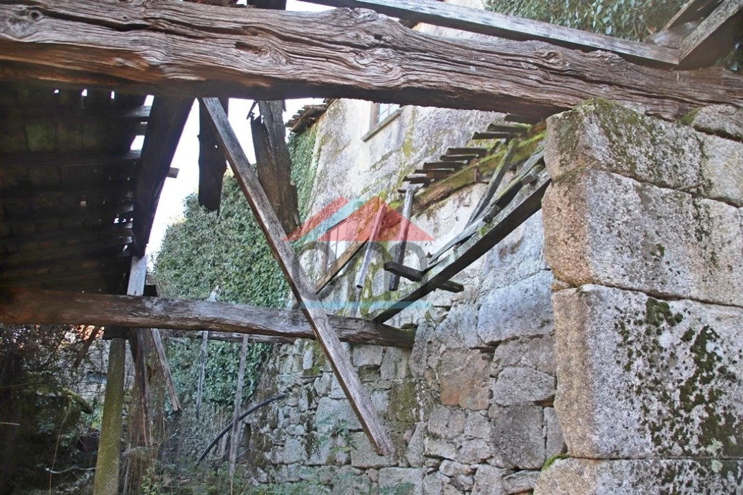 Moradia T3 para Venda em Ruivães e Campos Foto 19