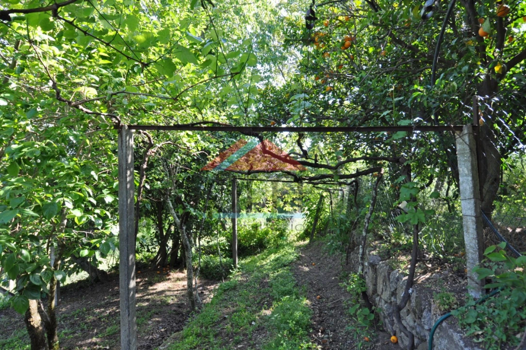 Moradia T4 para Venda em Riba de Mouro Foto 19