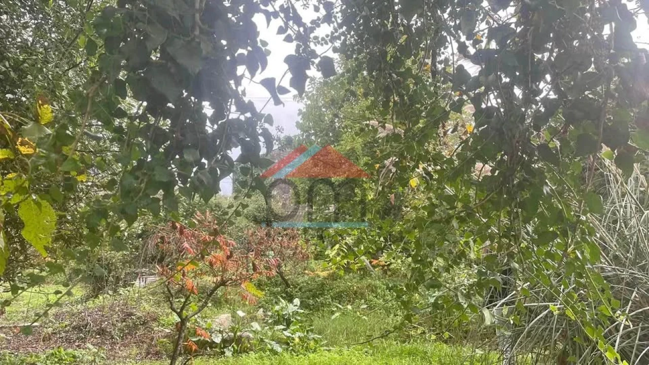 Terreno para Venda em Bela Foto 3