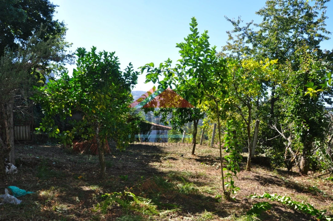 Moradia T2 para Venda em Tangil Foto 16