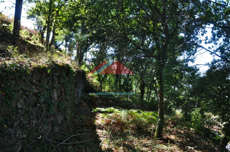 Moradia T2 para Venda em Tangil Foto 17