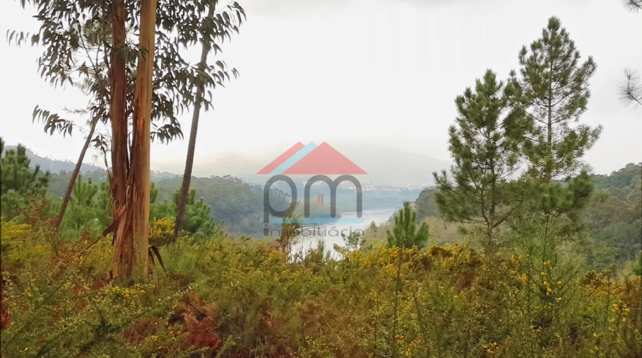 Terreno para Venda em Mazedo e Cortes Foto 1