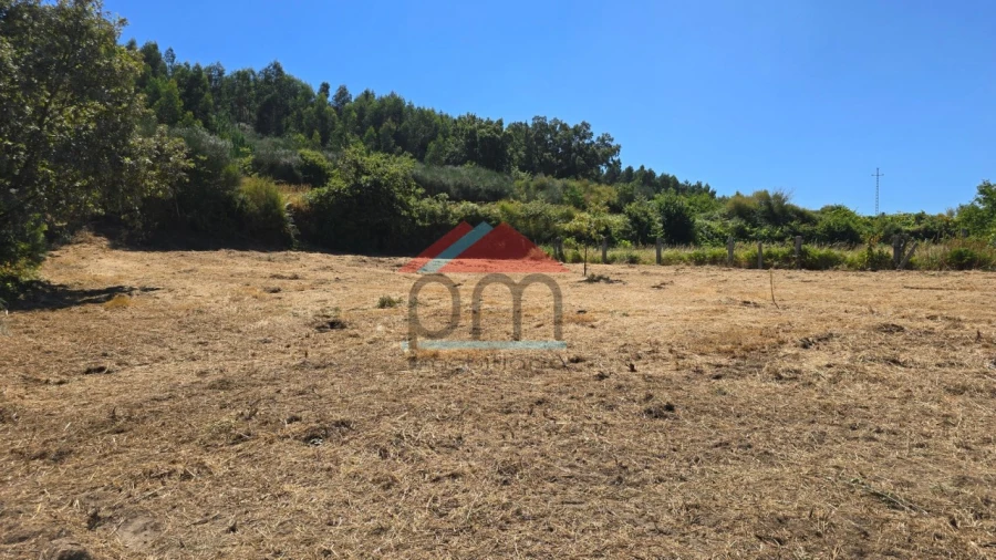 Terreno para Venda em Sago, Lordelo e Parada Foto 3