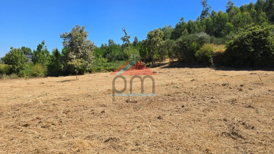 Terreno para Venda em Sago, Lordelo e Parada Foto 4