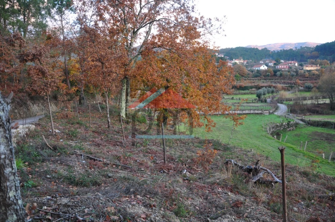 Terreno para Venda em Podame Foto 7