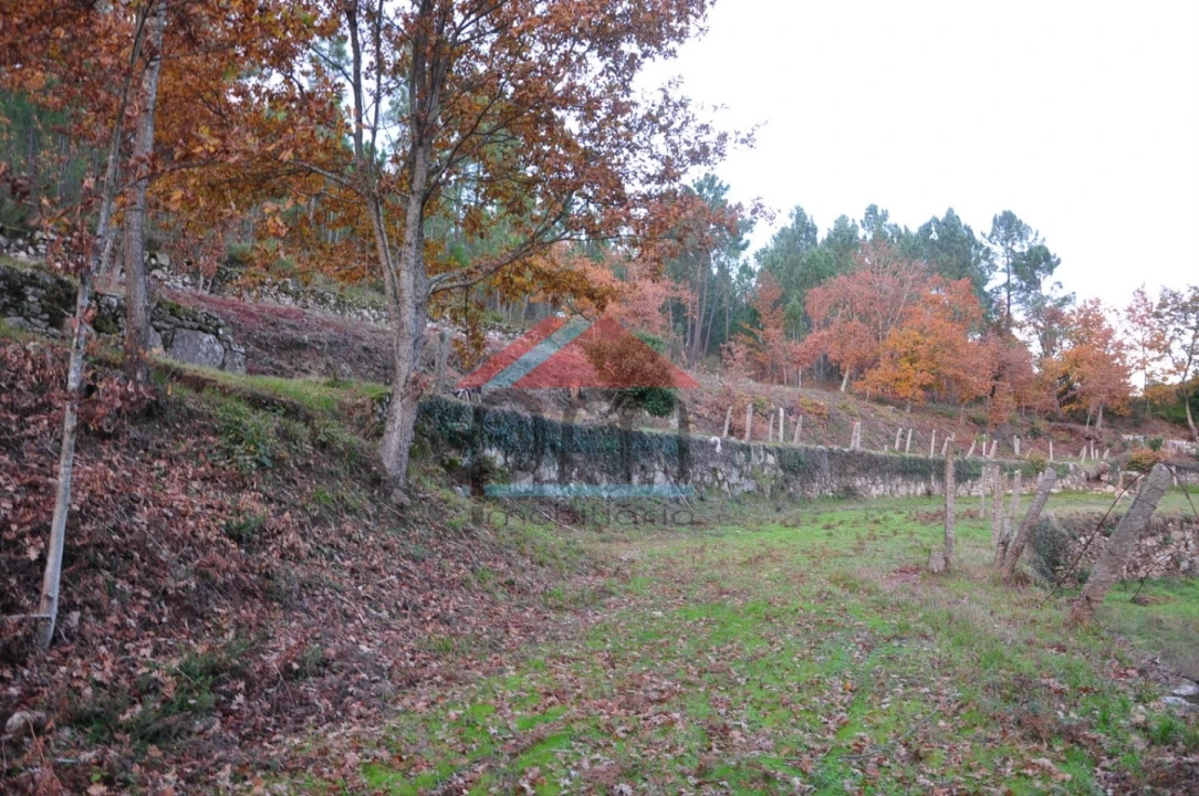 Terreno para Venda em Podame Foto 11
