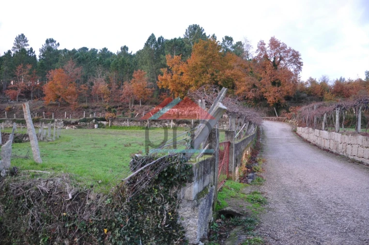 Terreno para Venda em Podame Foto 6