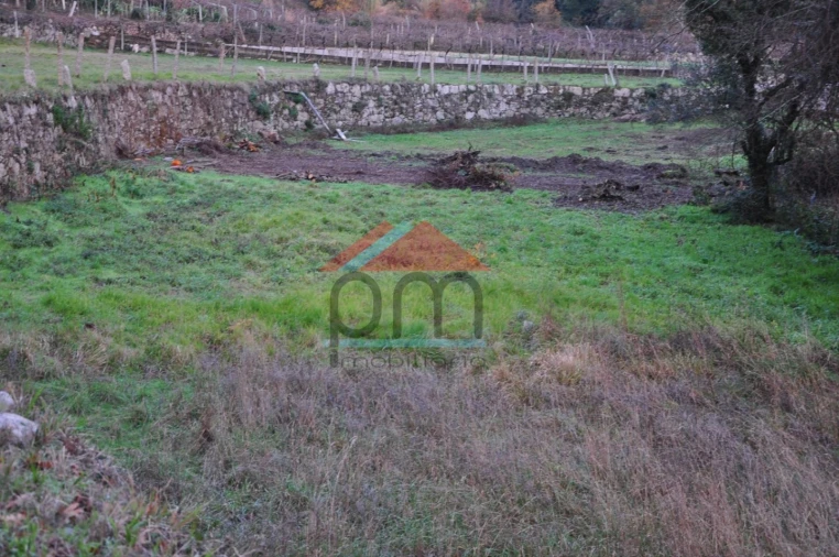 Terreno para Venda em Podame Foto 14