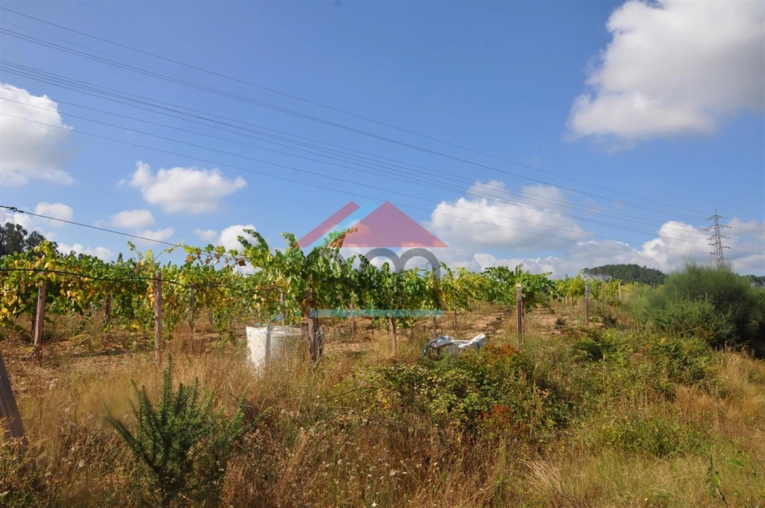 Terreno Agricola ou Rústico para Venda em Monção e Troviscoso Foto 3