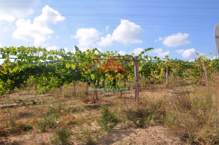 Terreno Agricola ou Rústico para Venda em Monção e Troviscoso Foto 2