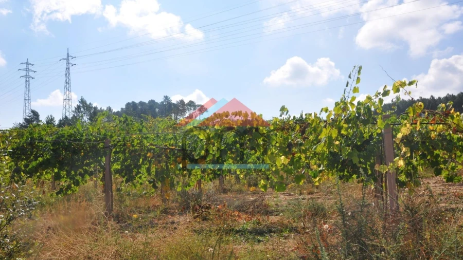 Terreno Agricola ou Rústico para Venda em Monção e Troviscoso