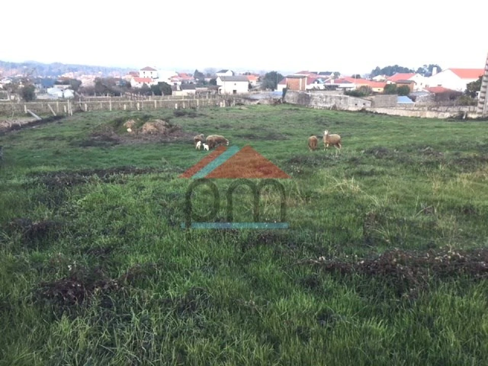 Terreno para Venda em Friestas Foto 2