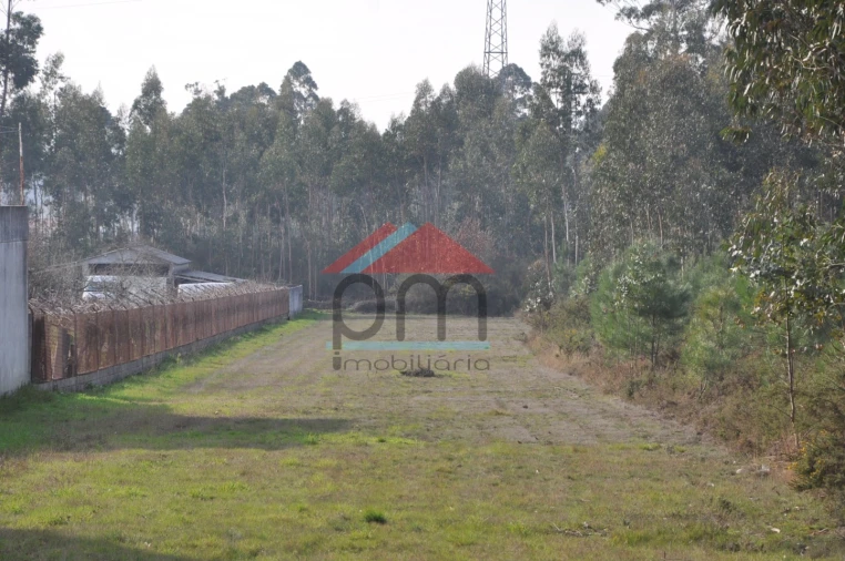 Terreno para Venda em Gandra e Taião Foto 2