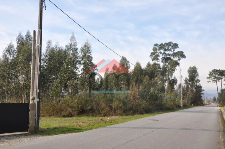 Terreno para Venda em Gandra e Taião Foto 4