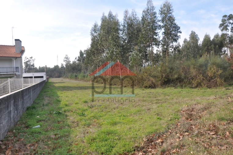 Terreno para Venda em Gandra e Taião Foto 5