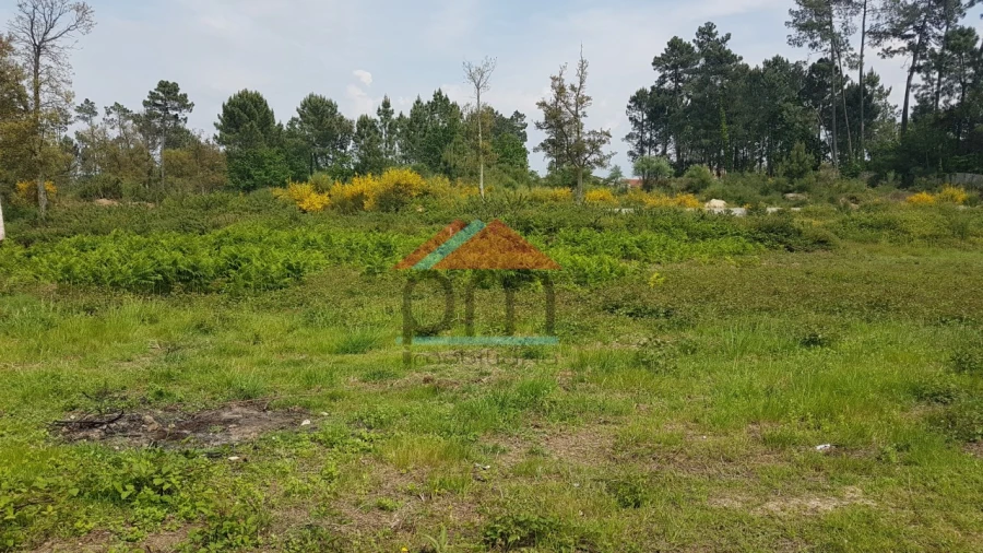 Terreno para Venda em Mazedo e Cortes Foto 1