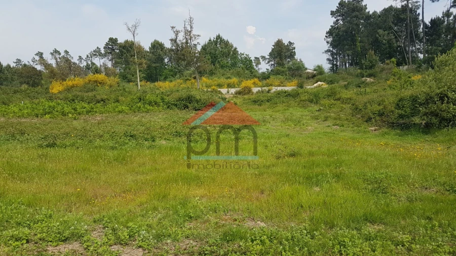 Terreno para Venda em Mazedo e Cortes Foto 2