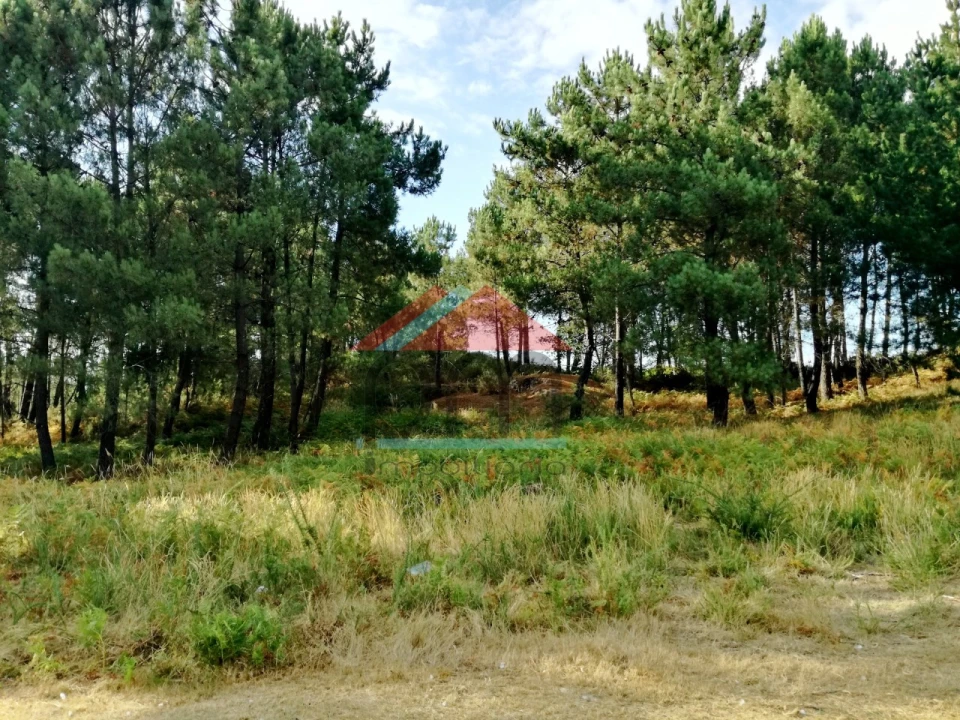 Terreno para Venda em Mazedo e Cortes Foto 1