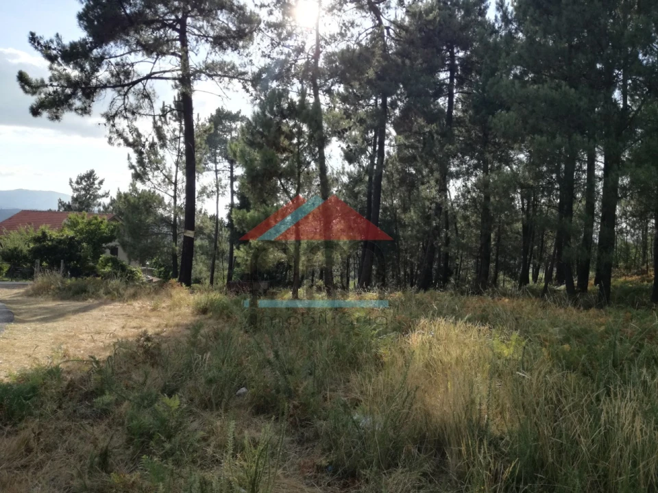 Terreno para Venda em Mazedo e Cortes Foto 9