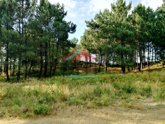 Terreno para Venda em Mazedo e Cortes Foto 1