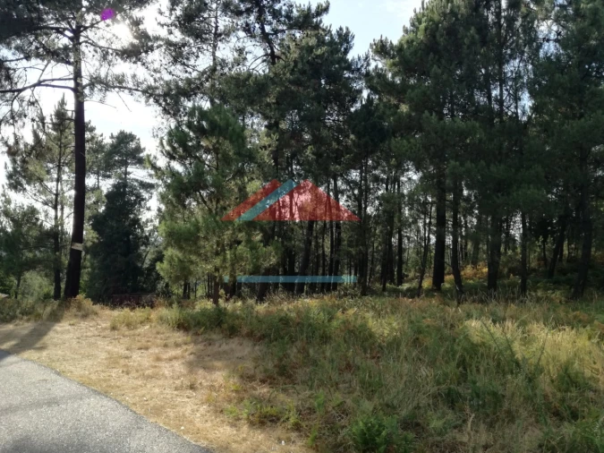 Terreno para Venda em Mazedo e Cortes Foto 3