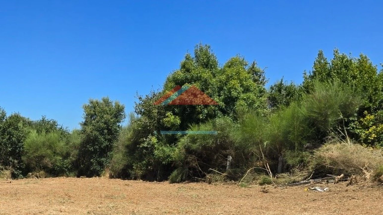 Terreno para Venda em Sago, Lordelo e Parada Foto 3