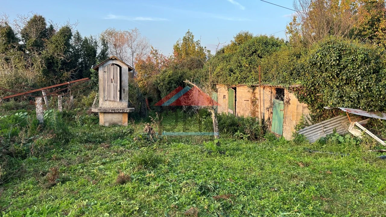 Terreno para Venda em Bela Foto 4